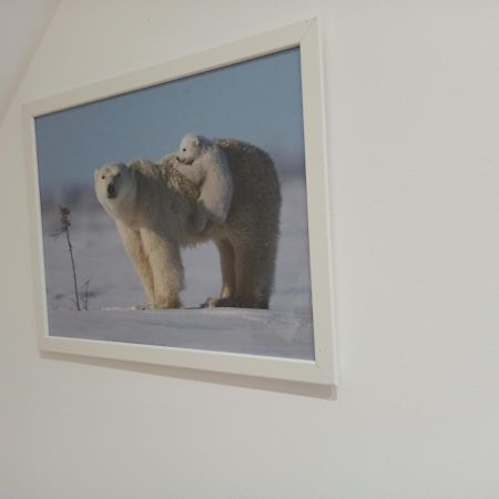 A 4 Min Du Zoo De Beauval La Maison A Partager Ch4 2Eme Etage 圣艾尼昂 外观 照片