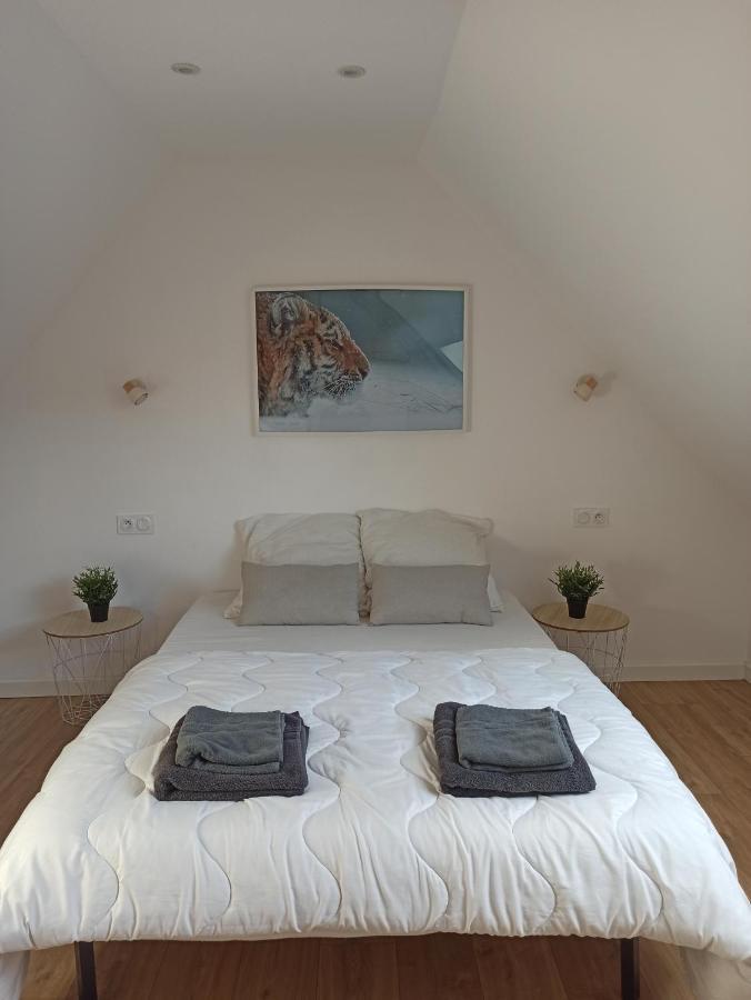A 4 Min Du Zoo De Beauval La Maison A Partager Ch4 2Eme Etage 圣艾尼昂 外观 照片