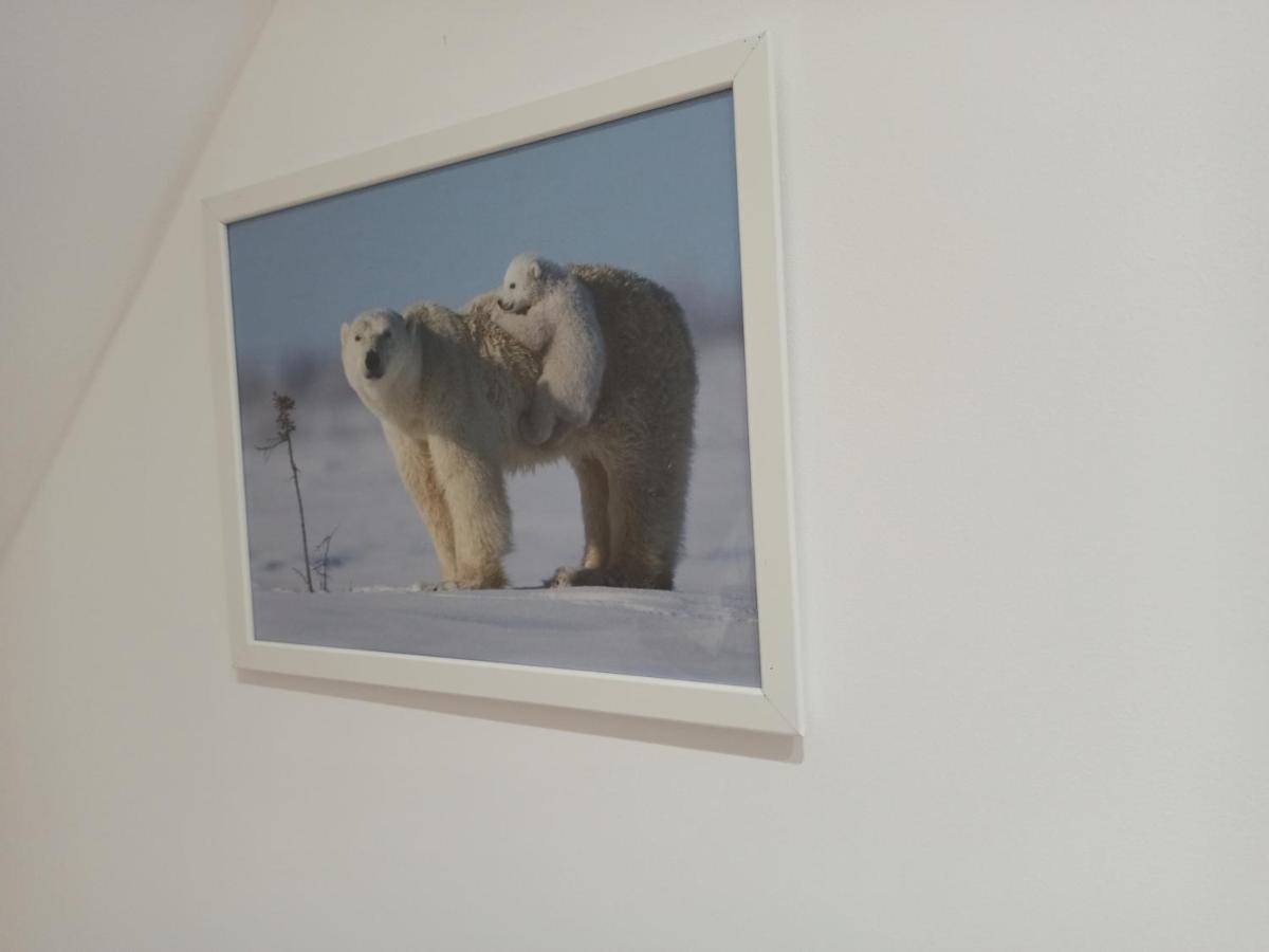 A 4 Min Du Zoo De Beauval La Maison A Partager Ch4 2Eme Etage 圣艾尼昂 外观 照片